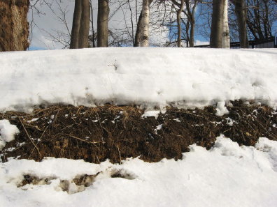 雪と地表