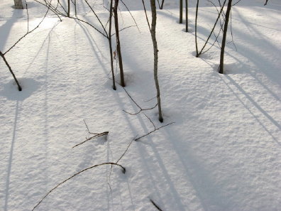 雪