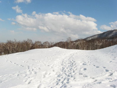 雪と足跡