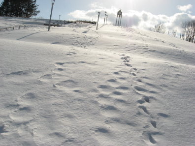 雪