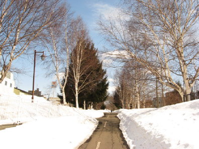 雪の残る白石サイクリングロード
