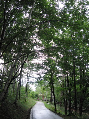 旭山記念公園散策路