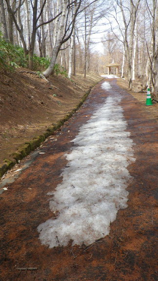 旭山記念公園