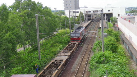 DF200 RED BEAR