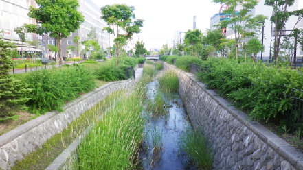 創成川公園