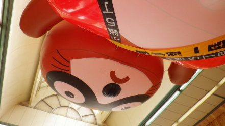 大狸