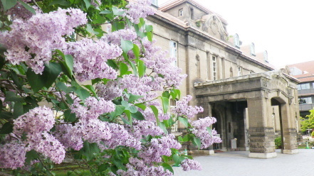 CbN