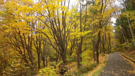 旭山記念公園