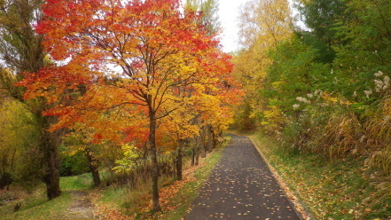 旭山記念公園