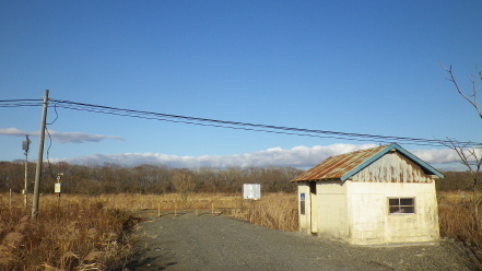 lcYw