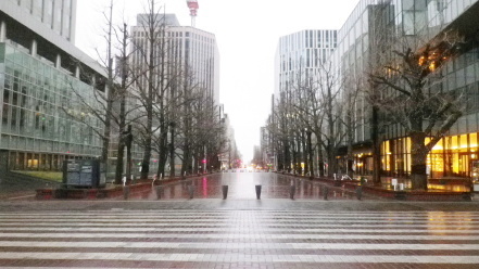 札幌の街並み