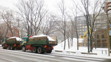 雪輸送中のダンプカー