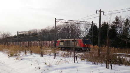 DF200レッドベア
