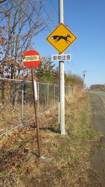 ���_�o�X��Ɠ������ӂ̕W��