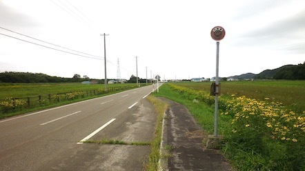 ������o�X��