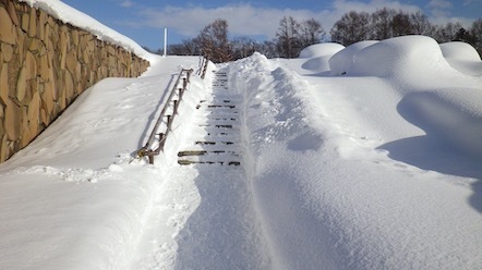 冬の野幌森林公園