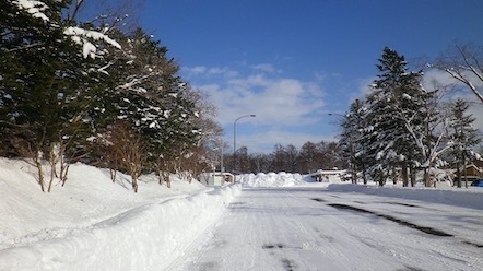 冬の野幌森林公園