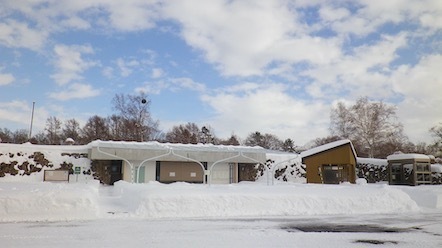 冬の野幌森林公園