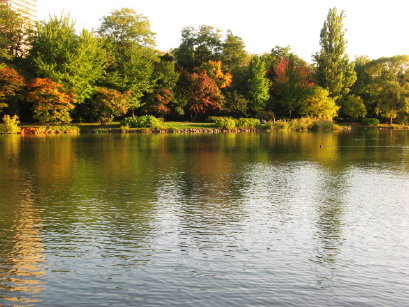 中島公園菖蒲池