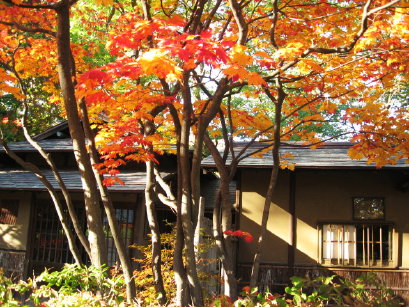 八窓庵の紅葉