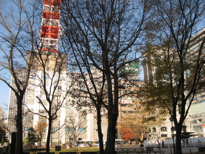 大通公園