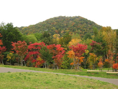 円山
