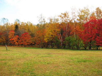 真駒内公園の紅葉