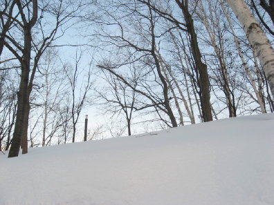 雪景色