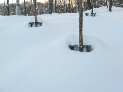 雪景色