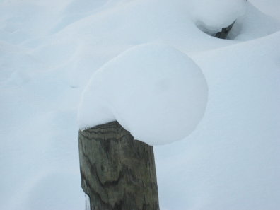 雪景色