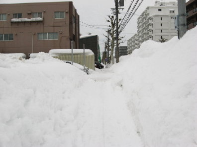 冬の札幌市内