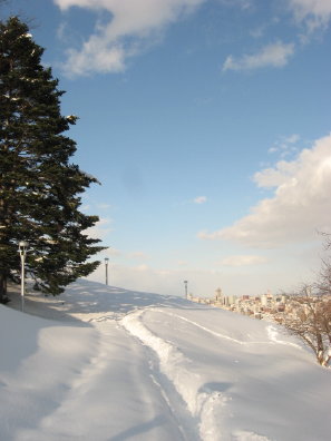 冬の旭山記念公園