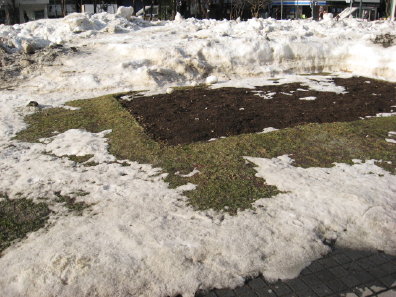 大通公園の雪解け具合